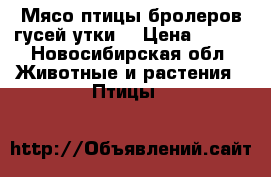 Мясо птицы бролеров гусей утки  › Цена ­ 220 - Новосибирская обл. Животные и растения » Птицы   